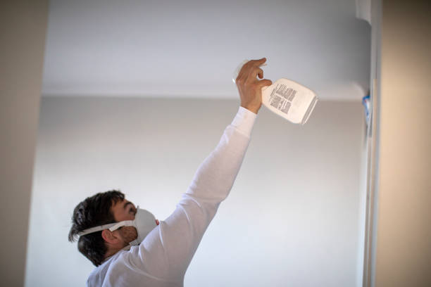 Best Mold Remediation for Specific Building Types in Green Valley, CA